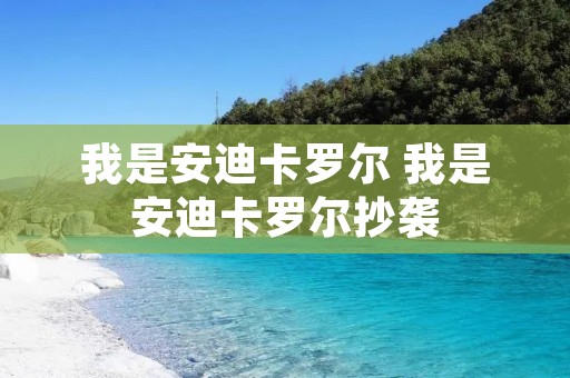 我是安迪卡罗尔 我是安迪卡罗尔抄袭