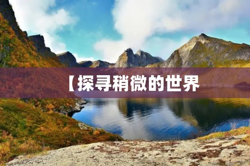 【探寻稍微的世界：从微小之中发现巨大的可能】