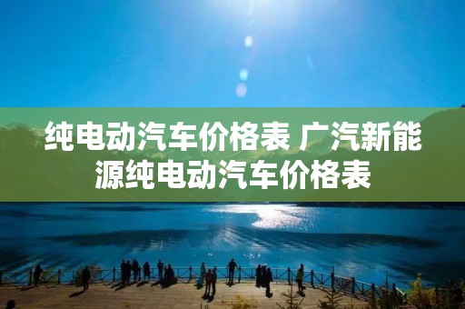 纯电动汽车价格表 广汽新能源纯电动汽车价格表 纯电动汽车价格表 广汽新能源纯电动汽车价格表