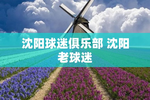 沈阳球迷俱乐部 沈阳老球迷