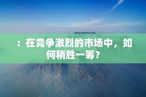 :在竞争激烈的市场中,如何稍胜一筹? :在竞争激烈的市场中,如何稍胜一筹?