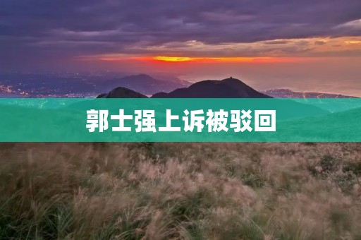郭士强上诉被驳回：一位传奇教练的无奈与坚持