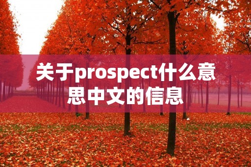关于prospect什么意思中文的信息 关于prospect什么意思中文的信息