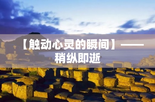 【触动心灵的瞬间】——稍纵即逝