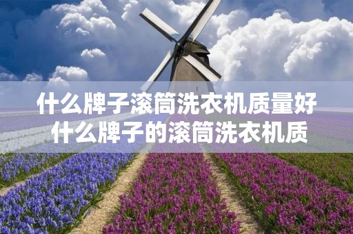 什么牌子滚筒洗衣机质量好 什么牌子的滚筒洗衣机质量比较好 什么牌子滚筒洗衣机质量好 什么牌子的滚筒洗衣机质量比较好
