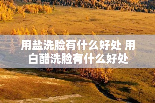 用盐洗脸有什么好处 用白醋洗脸有什么好处