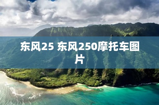 东风25 东风250摩托车图片