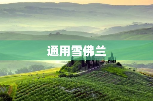 通用雪佛兰:为你带来全新驾驭体验 通用雪佛兰:为你带来全新驾驭体验