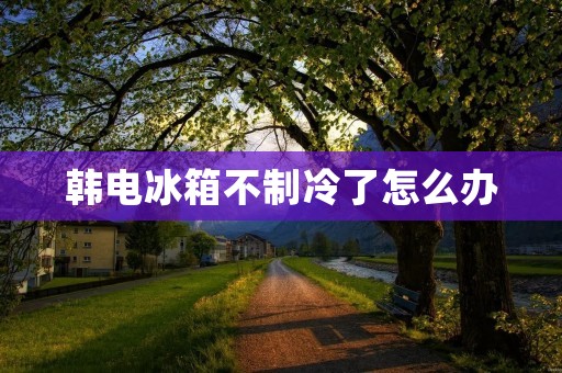 韩电冰箱不制冷了怎么办:解决方法与注意事项 韩电冰箱不制冷了怎么办:解决方法与注意事项
