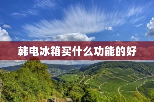 韩电冰箱买什么功能的好