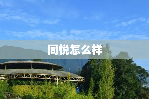 同悦怎么样:细致入微的服务体验 同悦怎么样:细致入微的服务体验