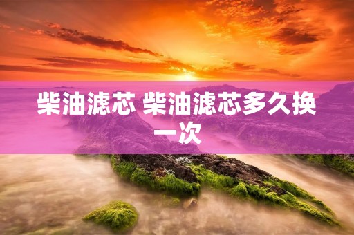 柴油滤芯 柴油滤芯多久换一次