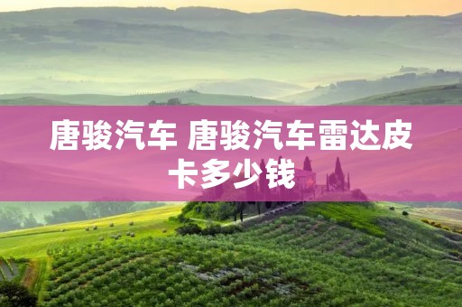 唐骏汽车 唐骏汽车雷达皮卡多少钱 唐骏汽车 唐骏汽车雷达皮卡多少钱