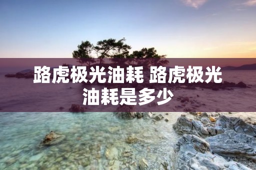 路虎极光油耗 路虎极光油耗是多少