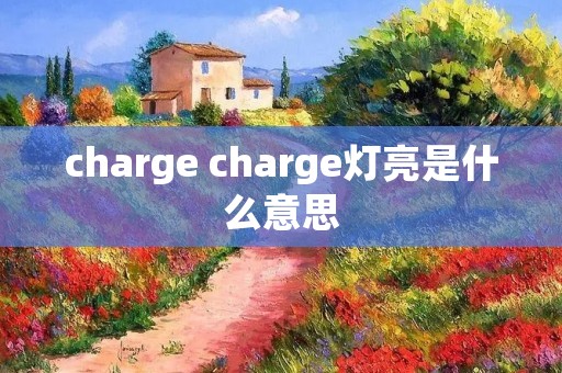 charge charge灯亮是什么意思