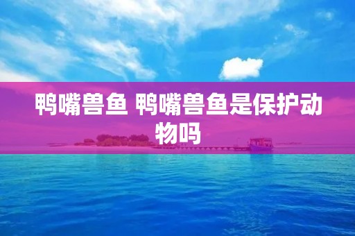 鸭嘴兽鱼 鸭嘴兽鱼是保护动物吗