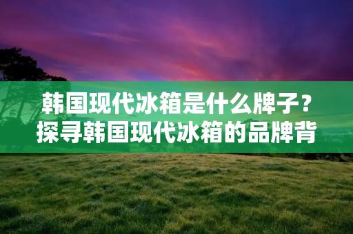 韩国现代冰箱是什么牌子?探寻韩国现代冰箱的品牌背后的故事 韩国现代冰箱是什么牌子?探寻韩国现代冰箱的品牌背后的故事