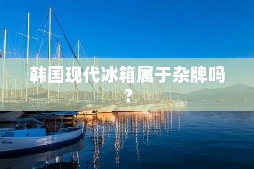 韩国现代冰箱属于杂牌吗? 韩国现代冰箱属于杂牌吗?
