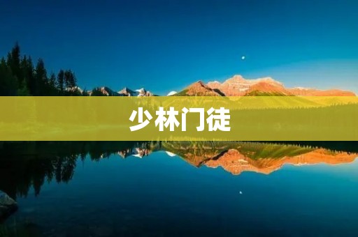 少林门徒：探寻武学之道