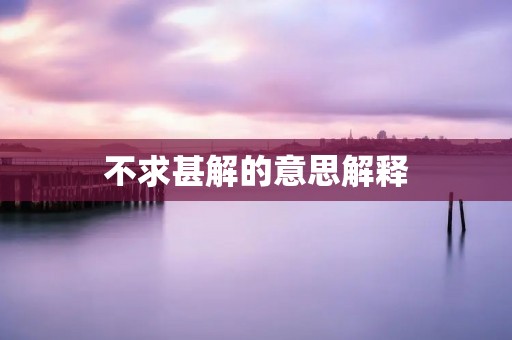 不求甚解的意思解释