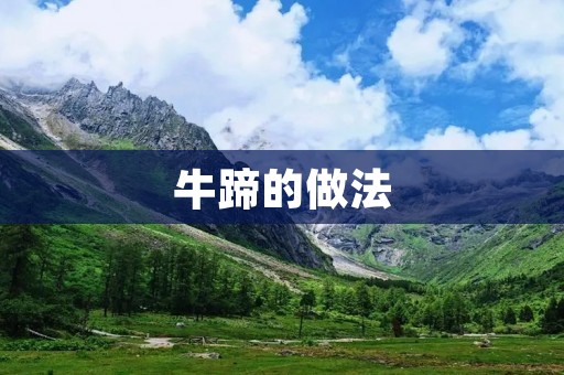 牛蹄的做法：传统美味，让你回味无穷