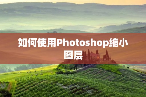 如何使用Photoshop缩小图层