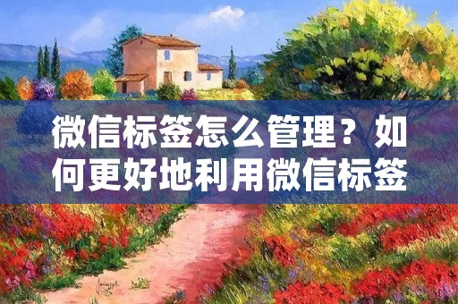 微信标签怎么管理?如何更好地利用微信标签进行好友分类和管理?