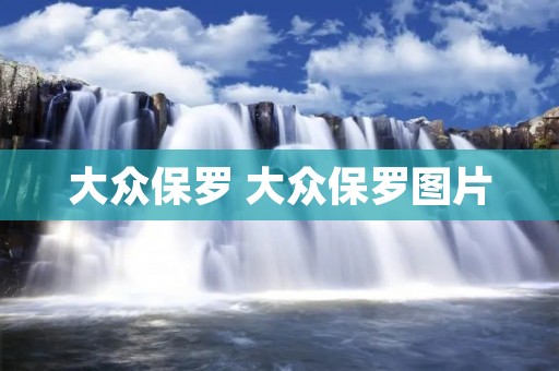 大众保罗 大众保罗图片 大众保罗 大众保罗图片