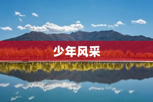 少年风采：追逐梦想的火焰