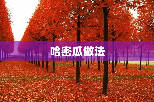 哈密瓜做法:清凉夏日,如何制作美味的哈密瓜? 哈密瓜做法:清凉夏日,如何制作美味的哈密瓜?