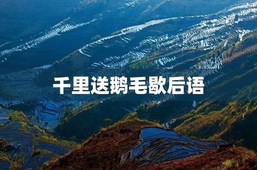 千里送鹅毛歇后语：揭秘中国古代贡品文化的奥秘
