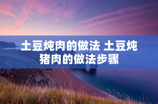 土豆炖肉的做法 土豆炖猪肉的做法步骤