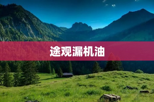 途观漏机油：原因、危害与解决方法