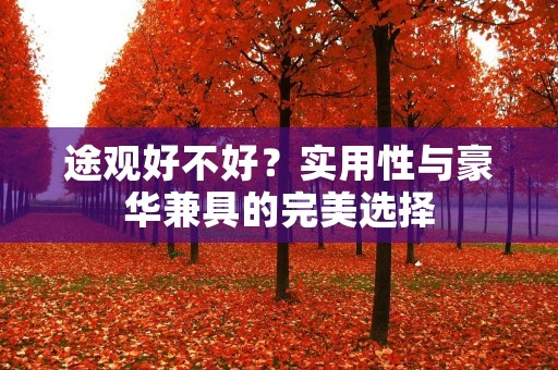 途观好不好?实用性与豪华兼具的完美选择 途观好不好?实用性与豪华兼具的完美选择