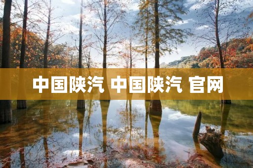 中国陕汽 中国陕汽 官网 中国陕汽 中国陕汽 官网