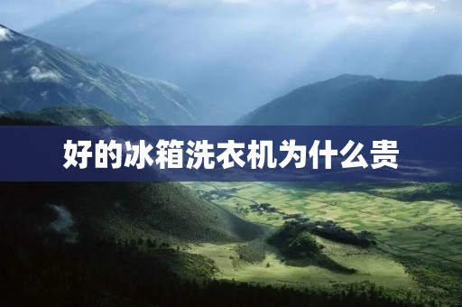 好的冰箱洗衣机为什么贵 好的冰箱洗衣机为什么贵