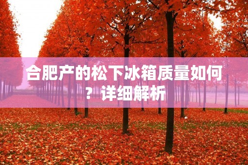 合肥产的松下冰箱质量如何？详细解析