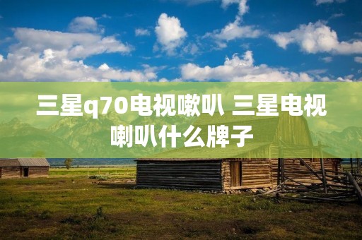 三星q70电视嗽叭 三星电视喇叭什么牌子