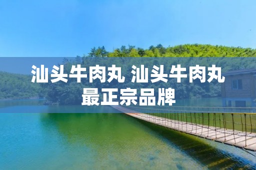 汕头牛肉丸 汕头牛肉丸最正宗品牌