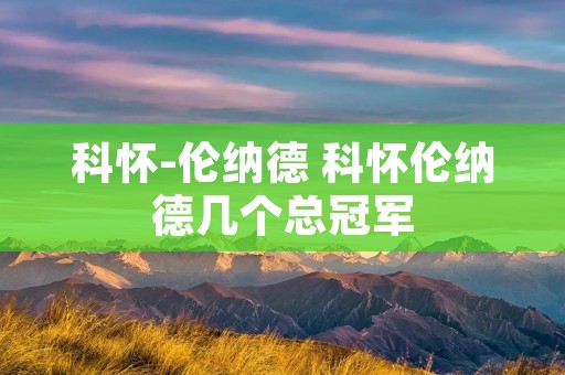科怀-伦纳德 科怀伦纳德几个总冠军