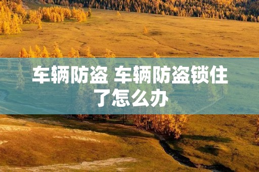车辆防盗 车辆防盗锁住了怎么办 车辆防盗 车辆防盗锁住了怎么办