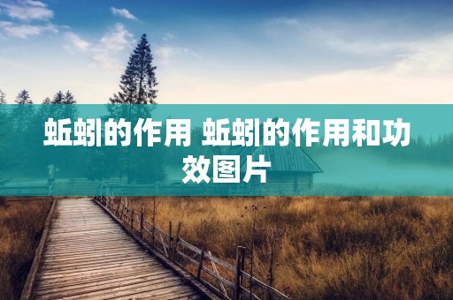 蚯蚓的作用 蚯蚓的作用和功效图片