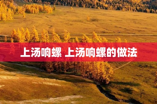 上汤响螺 上汤响螺的做法