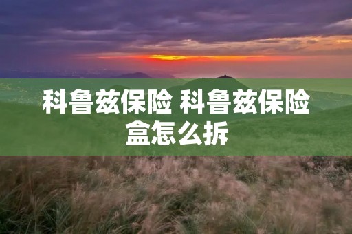 科鲁兹保险 科鲁兹保险盒怎么拆 科鲁兹保险 科鲁兹保险盒怎么拆