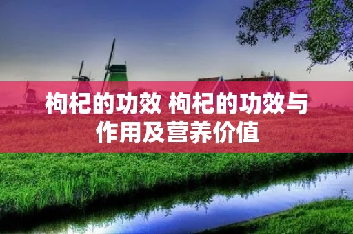 枸杞的功效 枸杞的功效与作用及营养价值