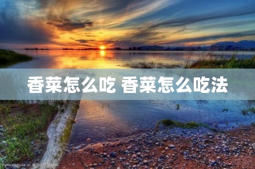 香菜怎么吃 香菜怎么吃法