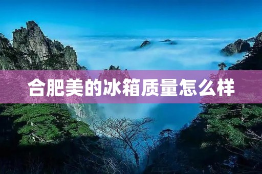 合肥美的冰箱质量怎么样