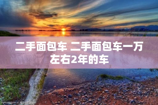 二手面包车 二手面包车一万左右2年的车