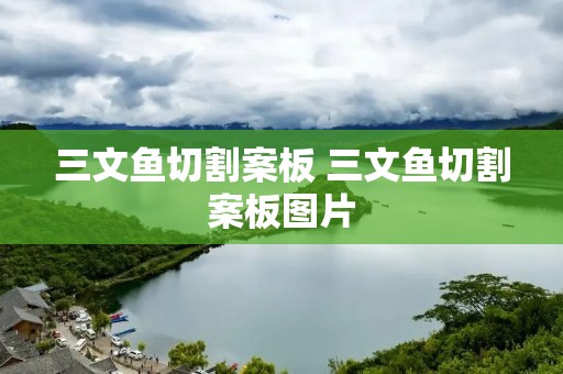 三文鱼切割案板 三文鱼切割案板图片