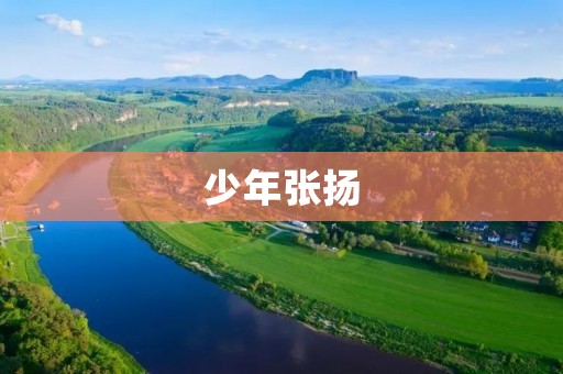 少年张扬：永不停歇的青春火焰